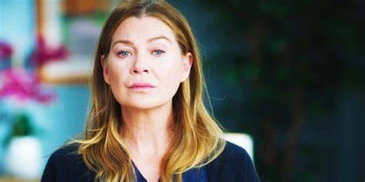 Ellen Pompeo's 3 Kids With Chris Ivery Meet Stella, Sienna and Eli