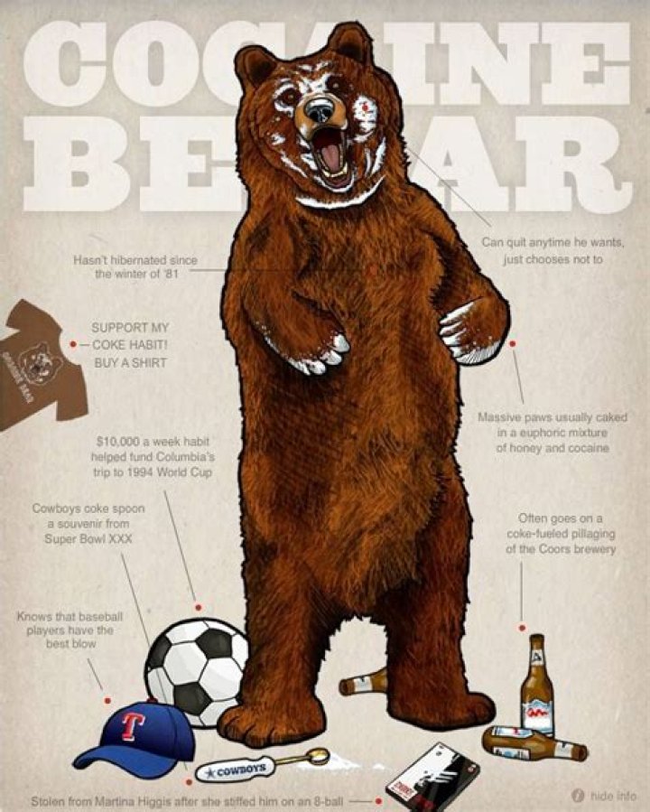 [Image 103281] Cocaine Bear Know Your Meme