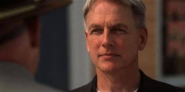 Mark Harmon's Kids Meet Children Sean and Ty With Pam Dawber