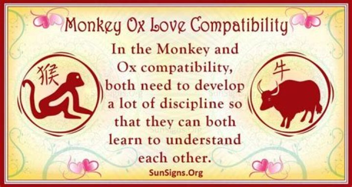 Monkey And Ox Compatibility Satisfying Attraction