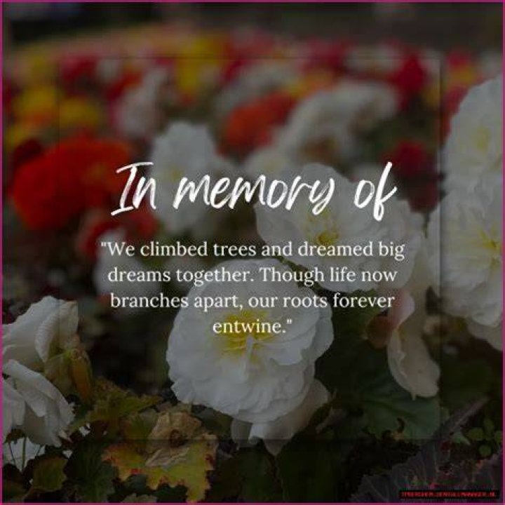 Obituary Of Vaughn Porter: Remembering A Life Well-Lived