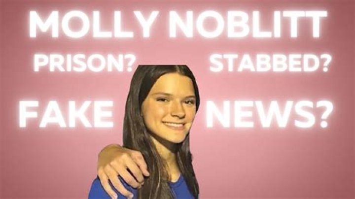 Was Molly Noblit Charged? | Legal Consequences For Minor Theft